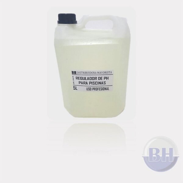 Regulador PH (Clorhídrico) bidón x 5 lts