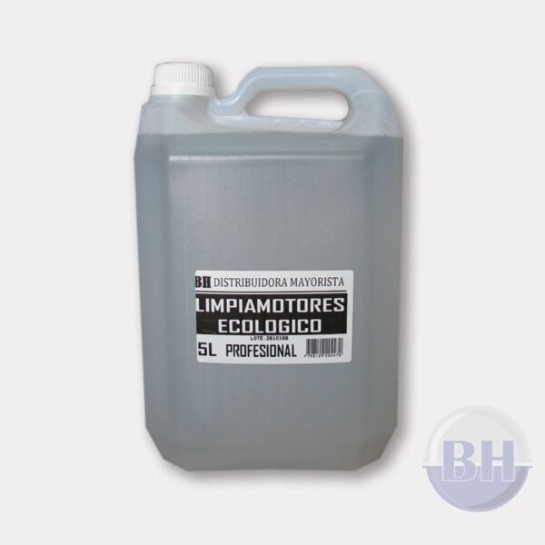 LIMPIA MOTORES INDUSTRIAL X 5 TS 1 + 1